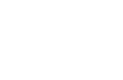logo_vandesteen